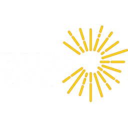 Burst Capital logo