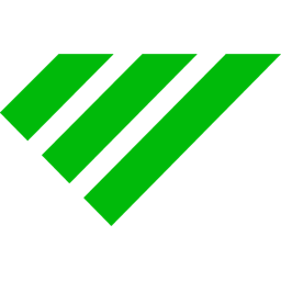 Endurance Companies logo
