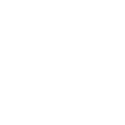 Numen logo