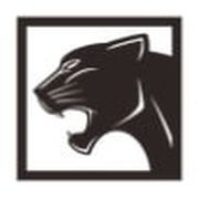 Permian Capital Management logo