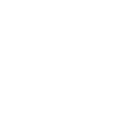 Santa Reparata International School of Art (SRISA) logo