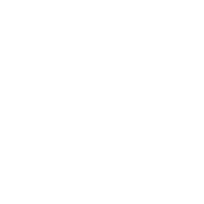 Twenty Acre Capital logo