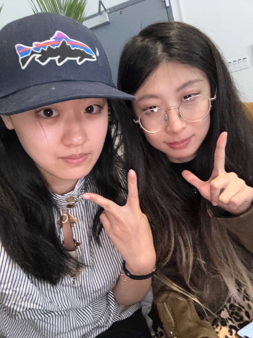 Cat Yan